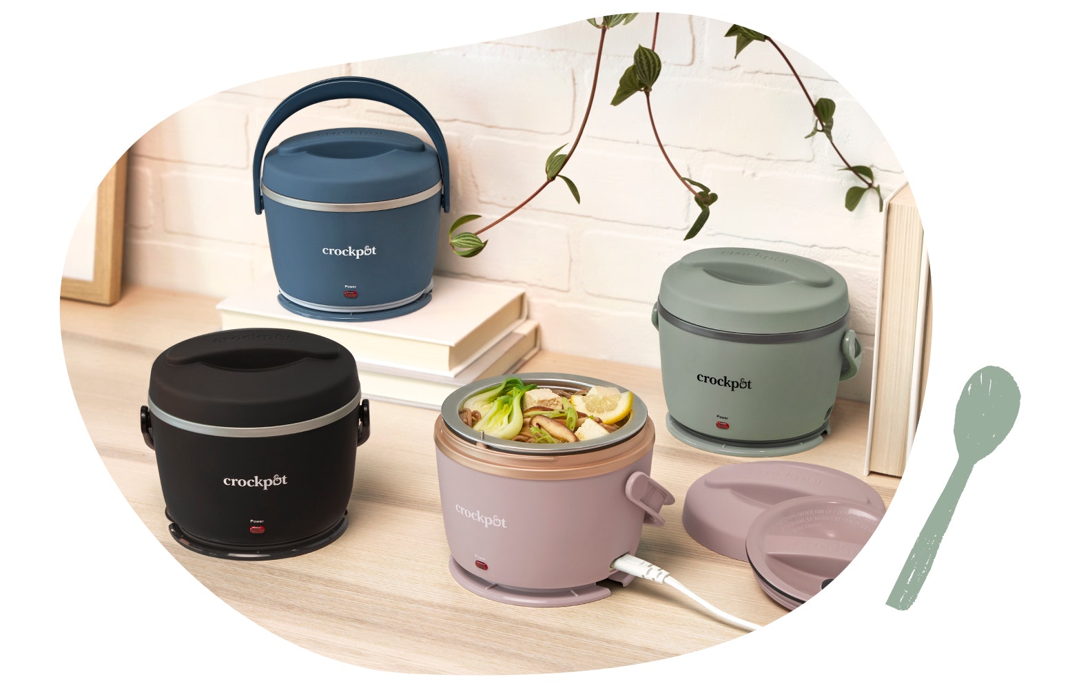 Electric Lunch Boxes